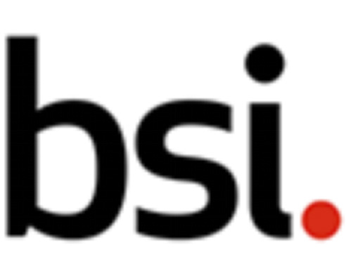 英國標準協會 (BSI) 英國標準協會 (BSI)